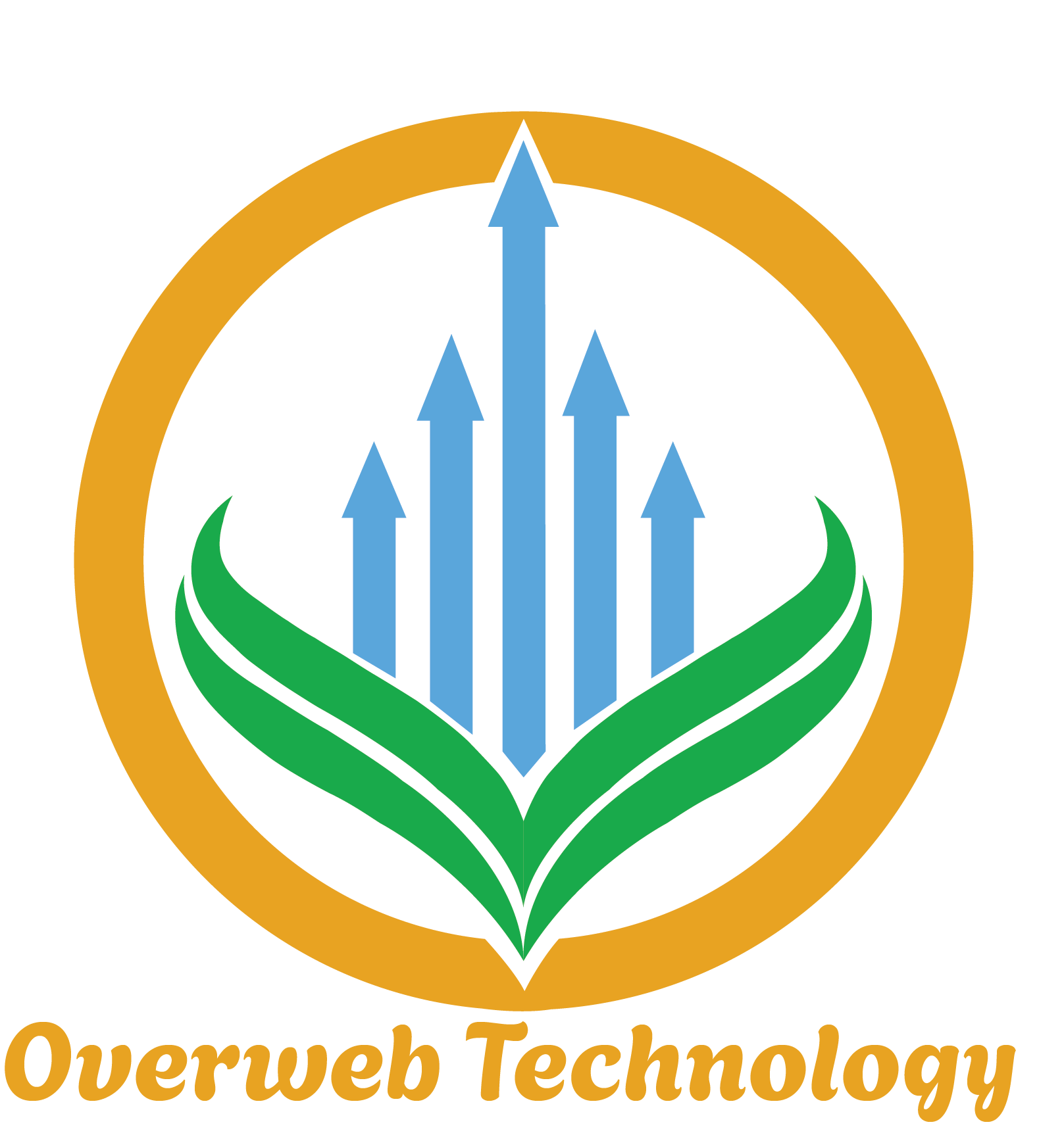 OverWeb Technology | Best Digital Marketing & Software Development Agency in Kolkata